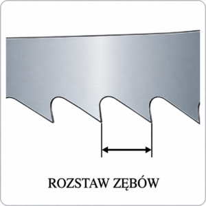 Rozstaw zębów piły taśmowej