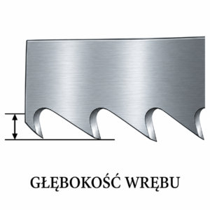 Głębokość wrębu piły taśmowej