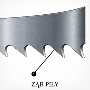 Ząb piły taśmowej