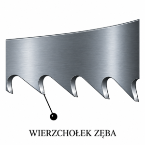 Wierzchołek zęba piły taśmowej