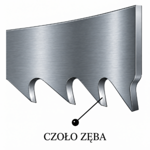 Czoło zęba piły taśmowej