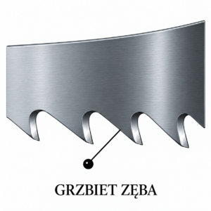 Grzbiet zęba piły taśmowej